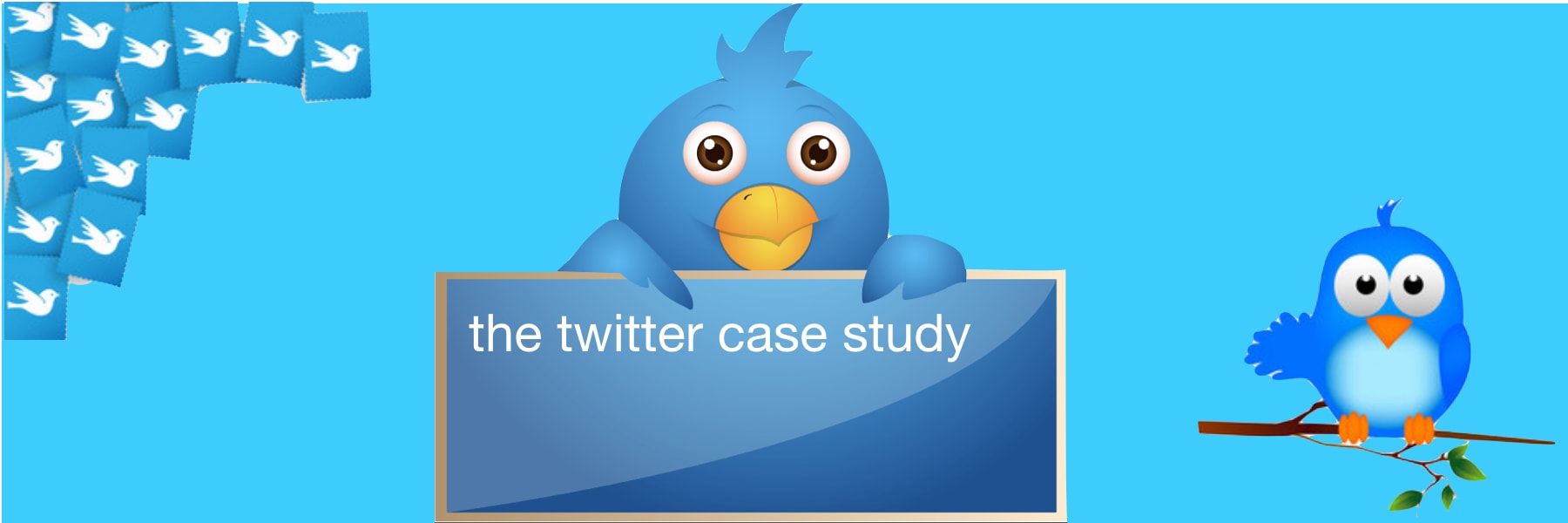 The Twitter Case Study